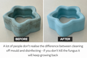 Bath toy before and after